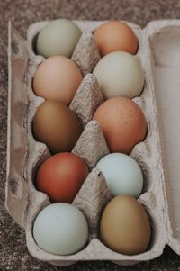 Nat&uuml;rlich bunte Eier vom Kuckuckshof